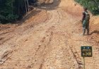 Satgas TMMD Kodim Abdya Sukses Buka Jalan 2,5 Km di Pegunungan Gunung Cut